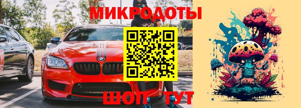 Псилоцибиновые грибы Psilocybe Шебекино